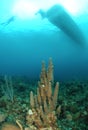 Dive boat over coral reef Royalty Free Stock Photo