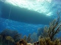 Dive boat and reef Royalty Free Stock Photo