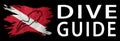 Dive Guide, Diver Down Flag, Scuba flag Royalty Free Stock Photo