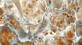 Calcium Chronicles: Exploring Bone Mass and Structure