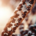 Espresso Elegance: Intricate Coffee Bean DNA Unveils Coffee Passion\