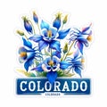 Colorado Blue Columbine Illustration, Watercolor Logo and Sticker Style, isolated on white background