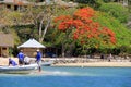 Dive team on edge of Volivoli Beach Resort, with the beautiful color of a tree known as Christmas,Fiji,2015