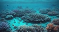 Underwater coral reef with tropical island