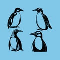 Black Penguin vector illustrations.