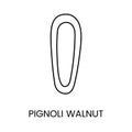 Dive into the world of culinary delights with the visually captivating Pinoli Line Vector Icon, a representation that