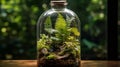 Terrarium in Glass Bottle Cultivates Eco-Friendly Hobby (AI-Generated)