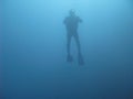 Diver