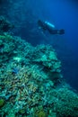 Diver blue water scuba diving bunaken indonesia sea reef ocean Royalty Free Stock Photo