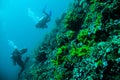 Diver blue water scuba diving bunaken indonesia sea reef ocean