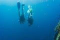 Diver blue water scuba diving at Shark island of Koh tao Royalty Free Stock Photo