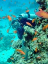 Diver and coral