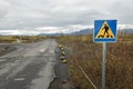 Diver crossing road sign, Iceland