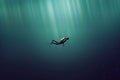 Diver in the deep sea Royalty Free Stock Photo