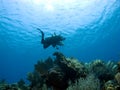 Diver descending on a Cayman Island Reef