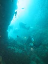 Diver is diving in the sea, Myanmar