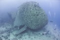 Diver exploring a large shipwreck Royalty Free Stock Photo