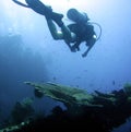 Diver exploring wrecked ship