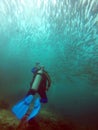 Diver facing a big shoal of fish Royalty Free Stock Photo