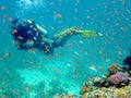 Diver with fish Royalty Free Stock Photo