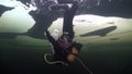 Diver goes head down underwter in ice of White Sea.