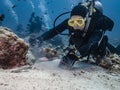 The diver muddies the sand at the bottom at the Indian ocean attracting small fish that feed on bottom invertibrates