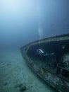 Diver observes abandoned ship covered with algae on seabed