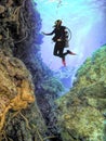 A Diver Observes a Coral Wall off the Island of Saint Kitts