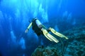 Diver over the edge Royalty Free Stock Photo