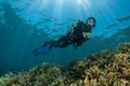 diver over a shallow coral reef with sun rays Royalty Free Stock Photo