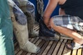 Diver puts on diving galoshes on board a boat