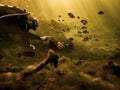 A diver in Royal Springs browned out after flooding from spring thunderstorms, Suwannee County, Florida Royalty Free Stock Photo