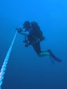 Diver at safety Stop