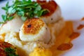 Diver scallops with fresh greens and reduction sauce Royalty Free Stock Photo