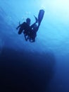 Diver and the scool of barracuda, Sipadan Island. Borneo.