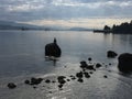 The Diver, Seawall, Vancouver