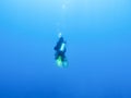 Diver and shades of blue abyss of the Indian ocean