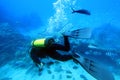 Diver with shoal of fish.