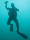 Diver Silhouette