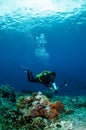 Diver swimming in Banda, Indonesia underwater photo