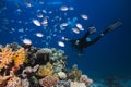 Diver swimming next to the reef with his torch