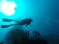Diver swimming in the ocean