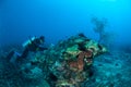 Diver is swimming and taking picture in Gili, Lombok, Nusa Tenggara Barat, Indonesia underwater photo Royalty Free Stock Photo