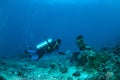 Diver is swimming and taking picture in Gili, Lombok, Nusa Tenggara Barat, Indonesia underwater photo. Royalty Free Stock Photo