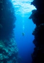 Diver swimming between underwater cliffs