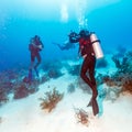 Diver Takes Photos Underwater Royalty Free Stock Photo