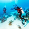 Diver Takes Photos Underwater Royalty Free Stock Photo