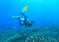 Diver taking photos or videos of staghorn coral