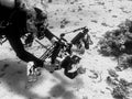 Diver taking underwater photos, grayscale shot Royalty Free Stock Photo