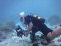 A diver under the water at the seabed with a special camera conducts a photo of the inhabitants of the sea